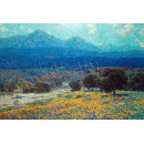 РЕПРОДУКЦИИ НА КАРТИНИ Калифорнийско маково поле (1926)